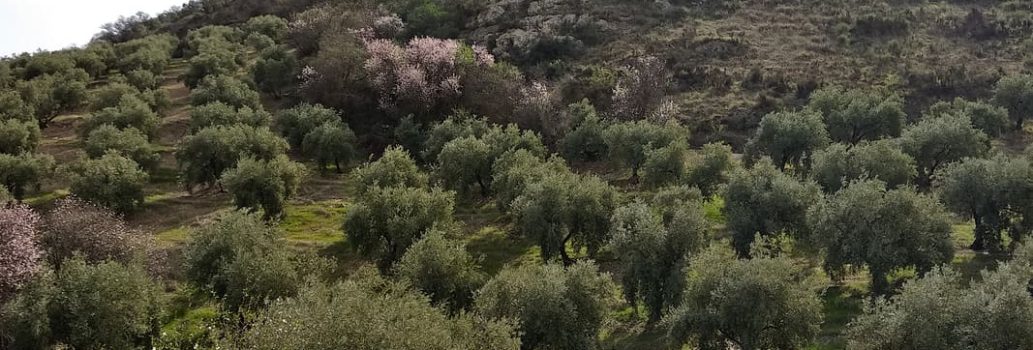 Na regen komt zonneschijn ook in le Marche
