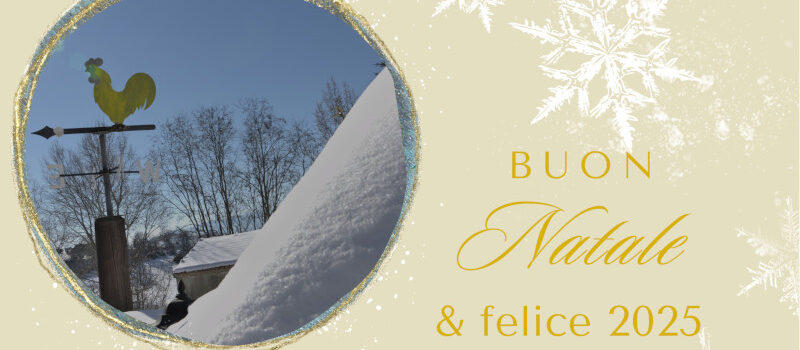 Buon natale en gelukkig 2025 !