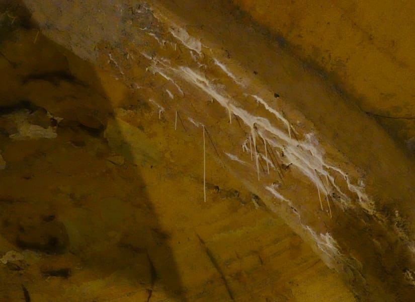 DSC01981
