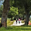 Wandelmogelijkheden